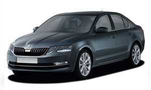 Skoda Octavia Transfers